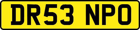 DR53NPO