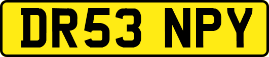 DR53NPY