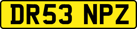 DR53NPZ