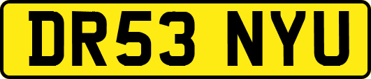 DR53NYU
