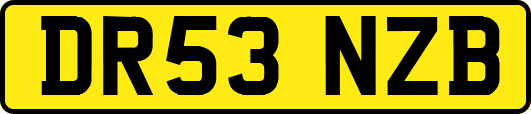 DR53NZB
