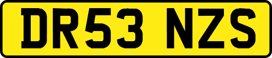 DR53NZS