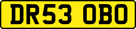 DR53OBO