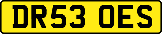 DR53OES