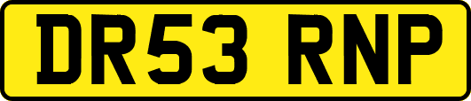 DR53RNP