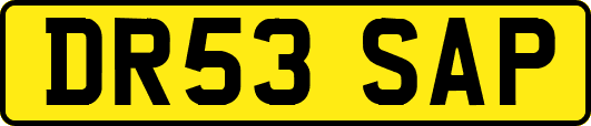 DR53SAP