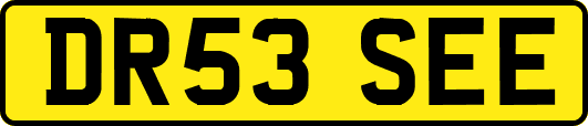 DR53SEE