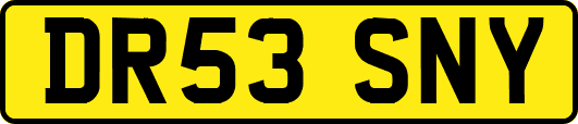 DR53SNY