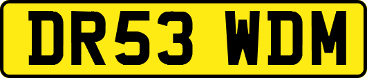 DR53WDM