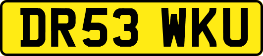 DR53WKU
