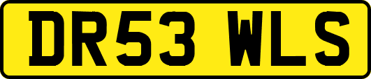 DR53WLS