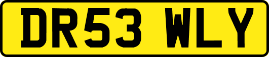 DR53WLY