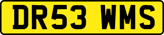 DR53WMS