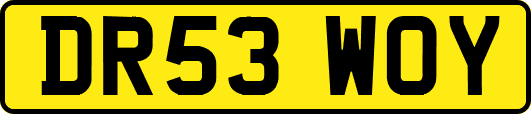 DR53WOY