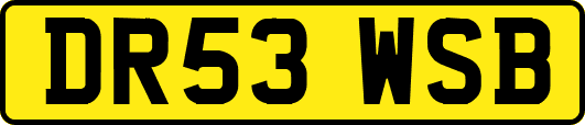 DR53WSB