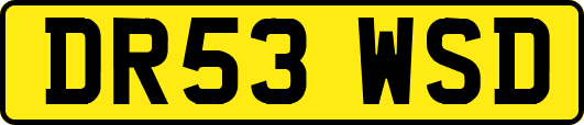 DR53WSD
