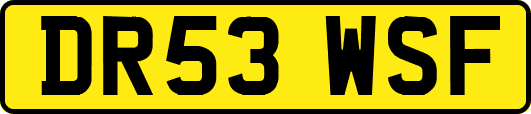 DR53WSF