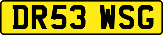 DR53WSG
