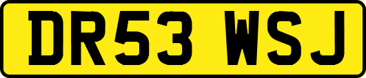 DR53WSJ