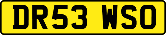 DR53WSO