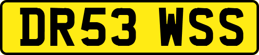 DR53WSS
