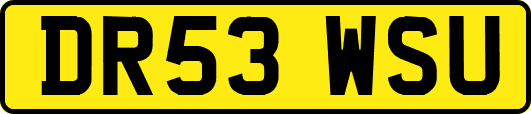 DR53WSU