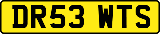 DR53WTS