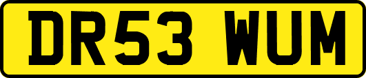 DR53WUM