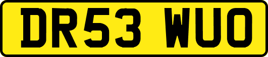 DR53WUO
