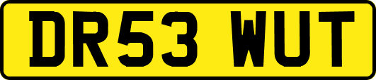 DR53WUT