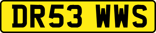 DR53WWS