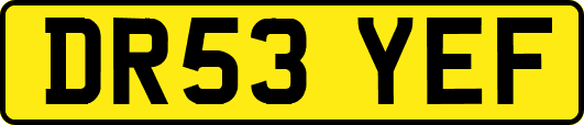 DR53YEF