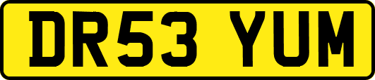DR53YUM