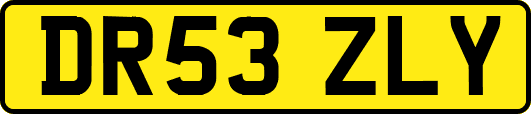 DR53ZLY