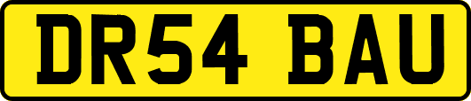 DR54BAU
