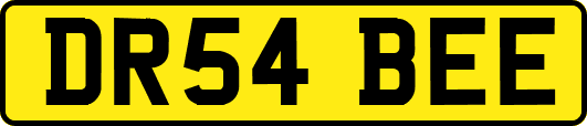 DR54BEE