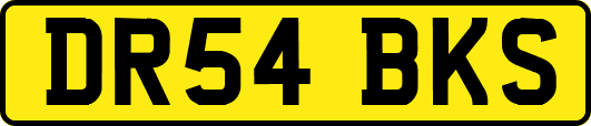 DR54BKS