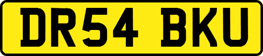 DR54BKU