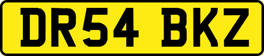 DR54BKZ