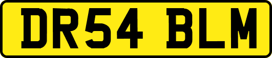 DR54BLM