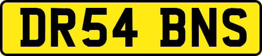 DR54BNS