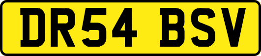 DR54BSV