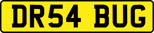 DR54BUG