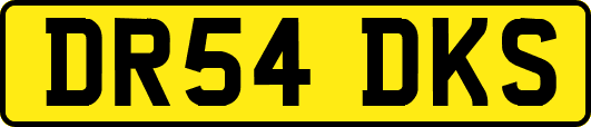 DR54DKS
