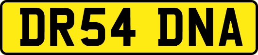 DR54DNA