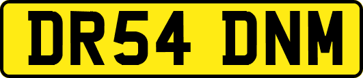 DR54DNM