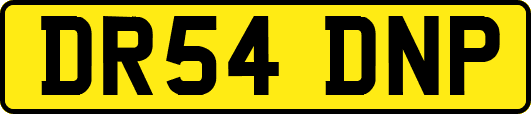 DR54DNP