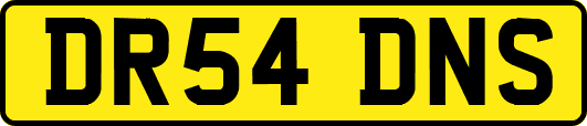 DR54DNS