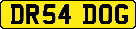 DR54DOG