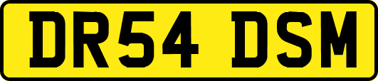 DR54DSM